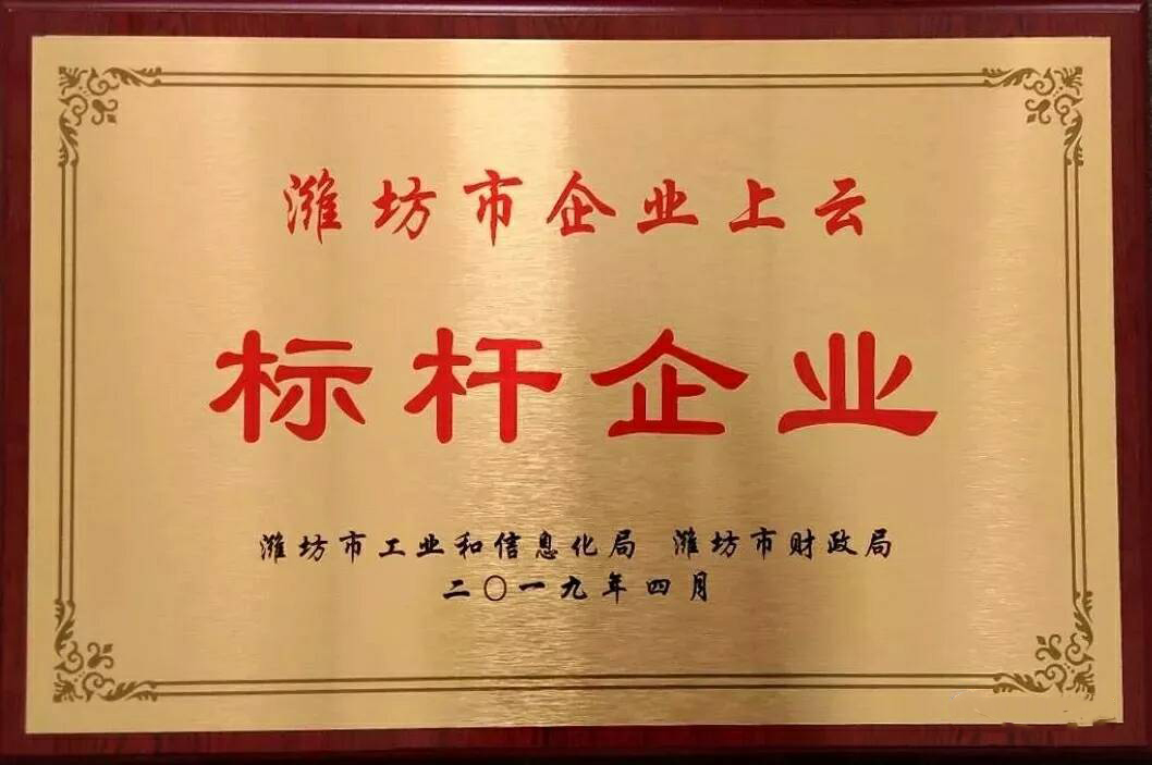 公司荣获"潍坊市企业上云标杆企业"